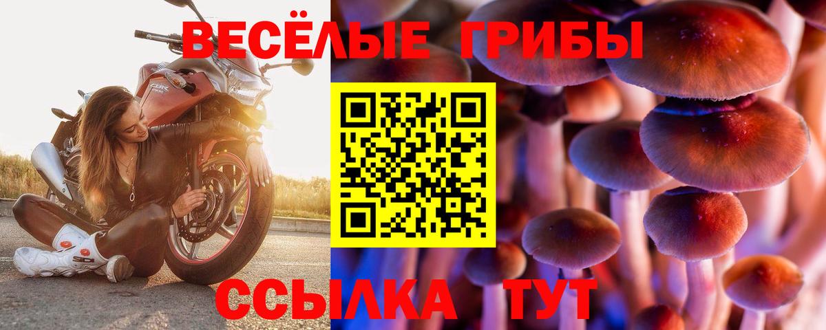 Россия  наркошоп  Вход с VPN  Псилоцибиновые грибы Psilocybe  Псилоцибиновые грибы ЛСД 