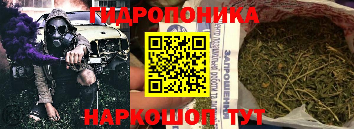 Конопля марихуана Россия